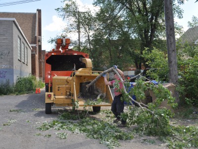 Regina Tree Removal Mulch
